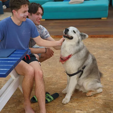 Vandrerhjem Wot Social