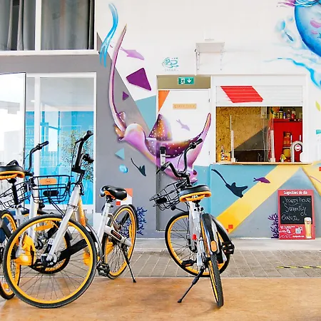 אכסניה Wot Social *