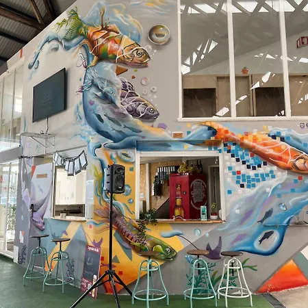 אכסניה Wot Social פניש