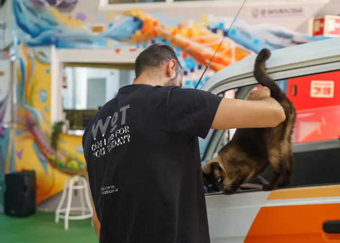 Wot Social 旅馆 佩尼契